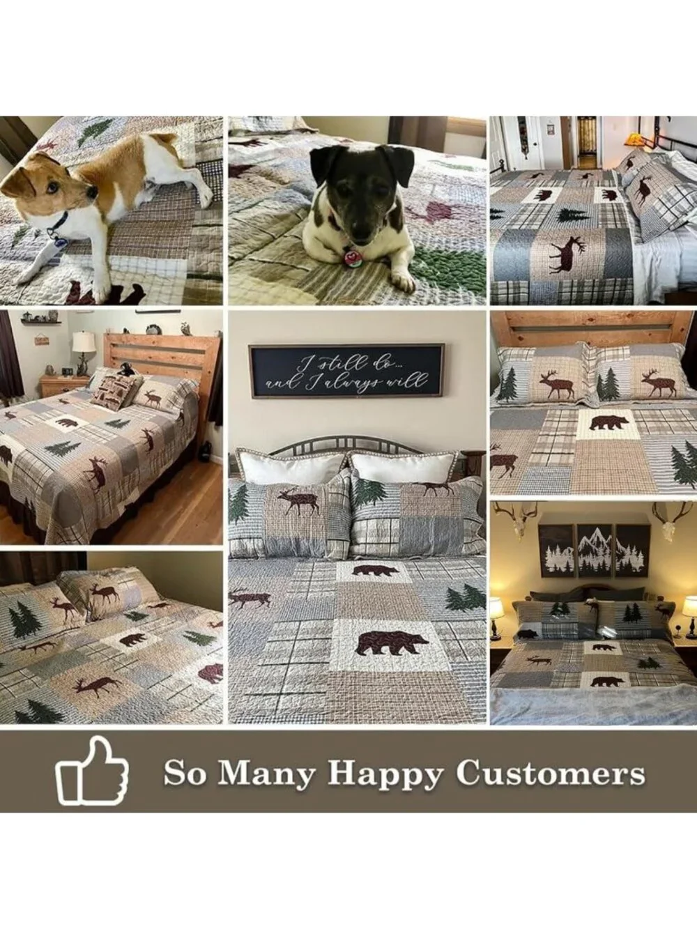 Cozy 100% Cotton Queen Quilt Set - Reversible Forest Plaid Bedspread & 2 Shams